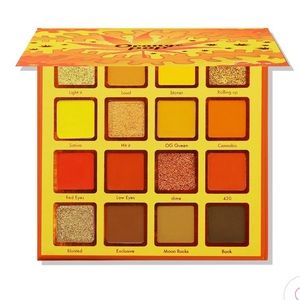 NWT kara beauty orange pop palette